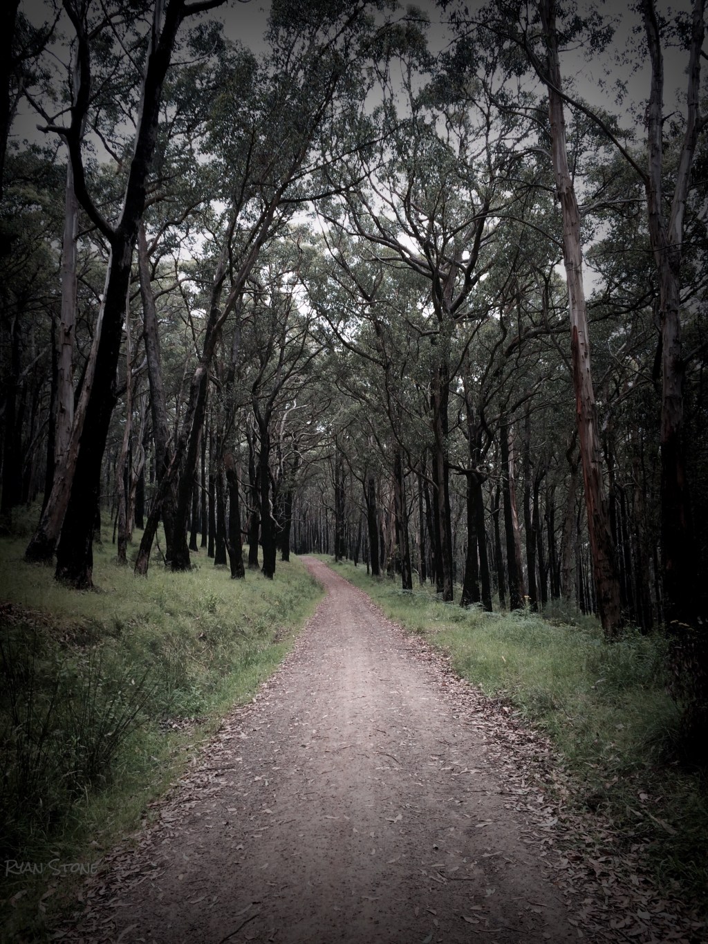 The Long Road