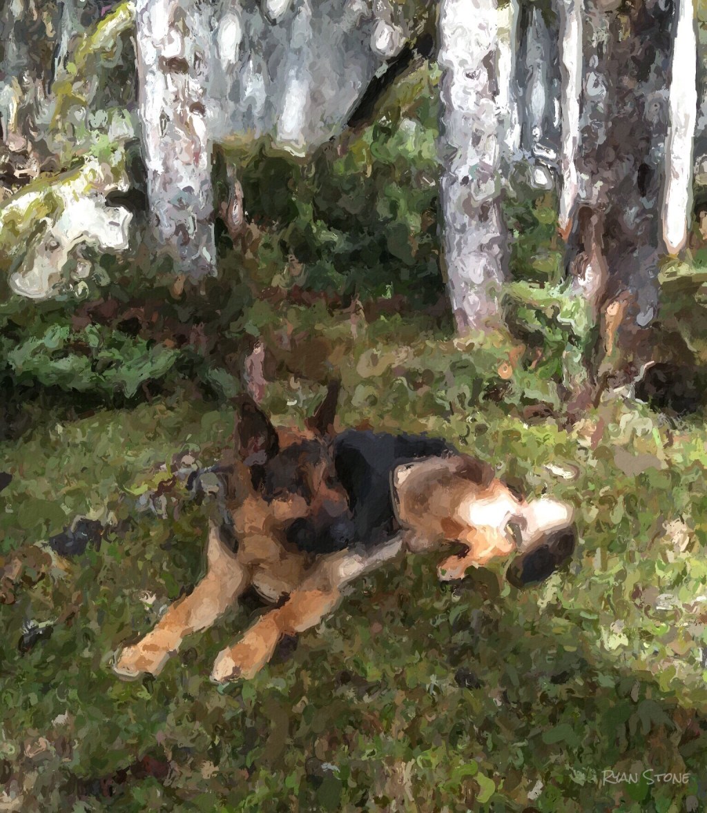 Dog Days