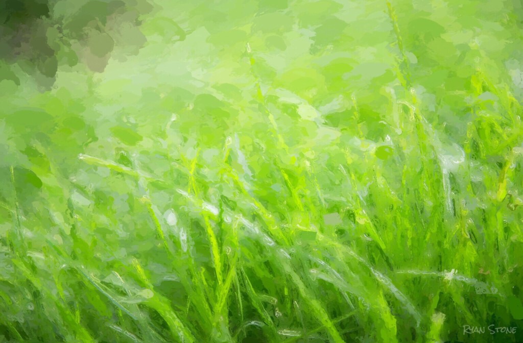 Like Grass