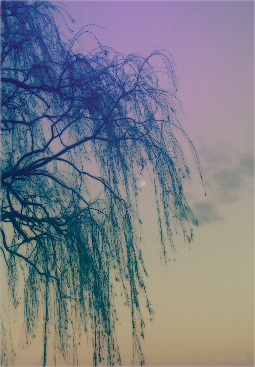 In Passing