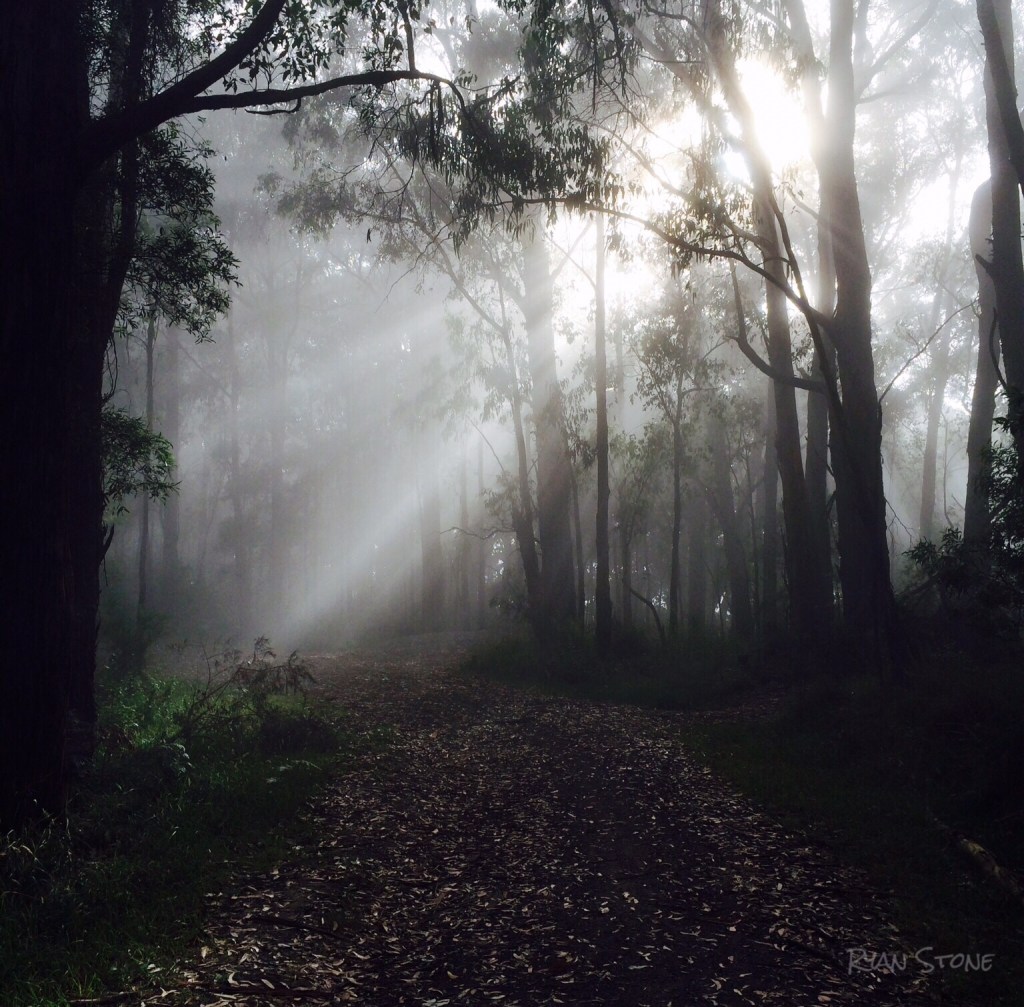 The Walk