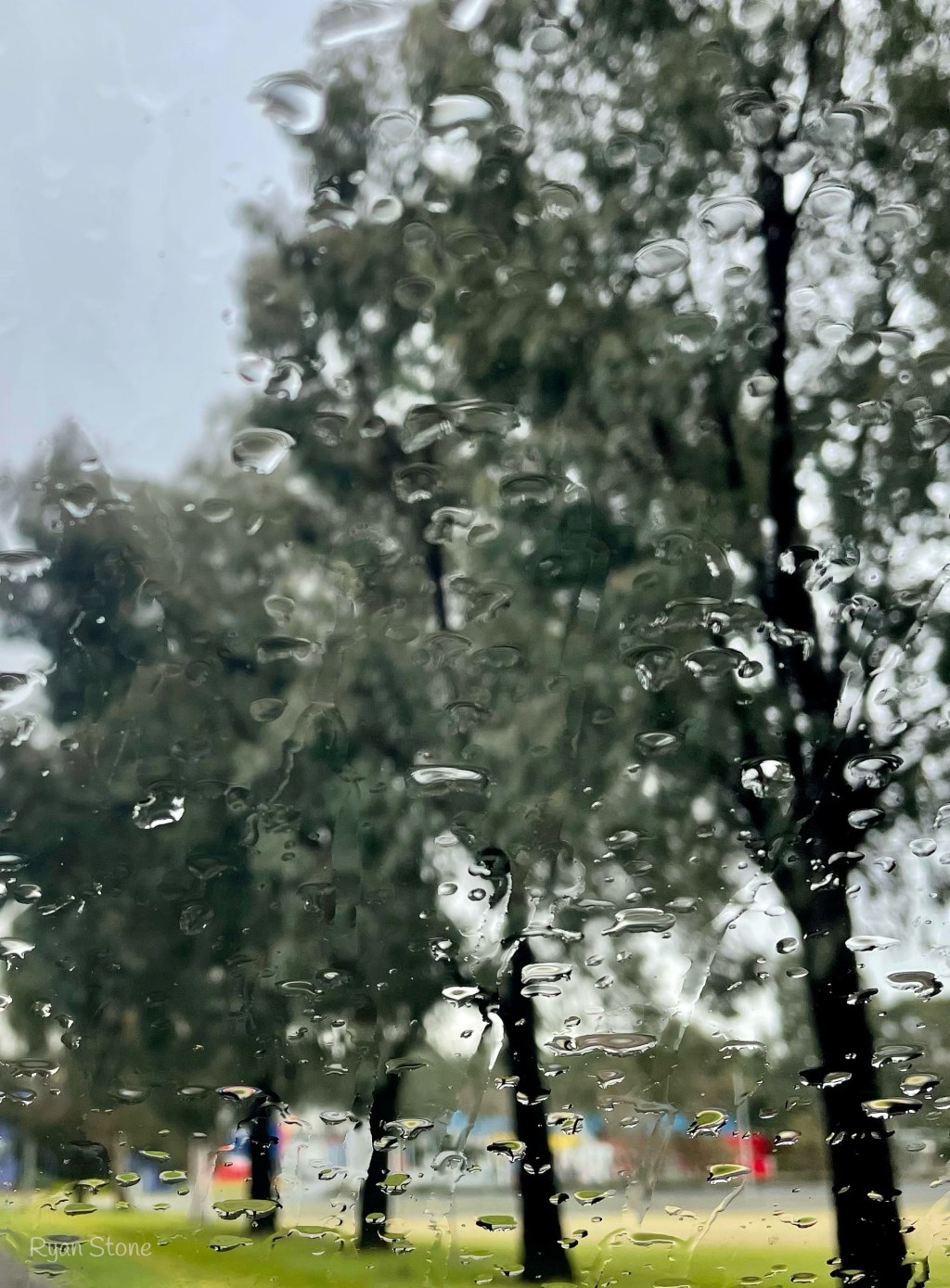 Plum Rain