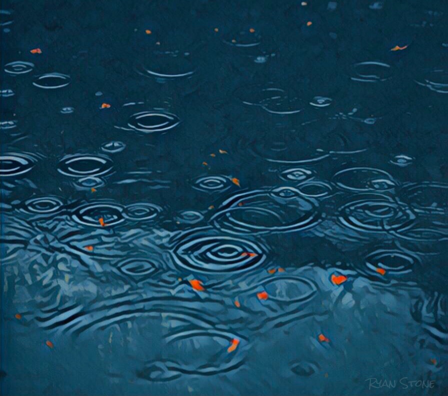 Reflection